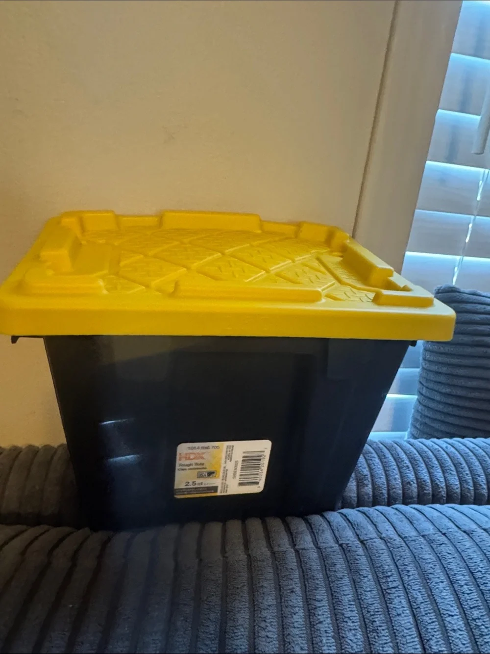 Mystery surprise! Heavy-Duty Yellow Lid Storage Bin - 2.5 Quart/filled